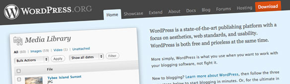 WordPress 