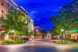 WordPress development agency Gainesville GA
