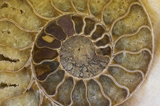 spiral